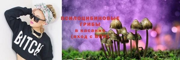 СК Волосово