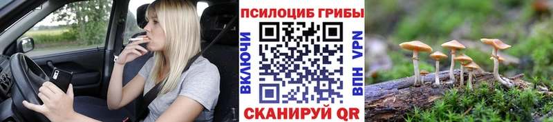 Псилоцибиновые грибы ЛСД  OMG сайт  Выкса  наркотики 